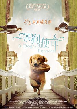 中国内地上映时间暂未确定。