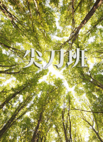 时间：2026.