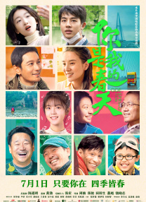 2025年中国电影票房达425.